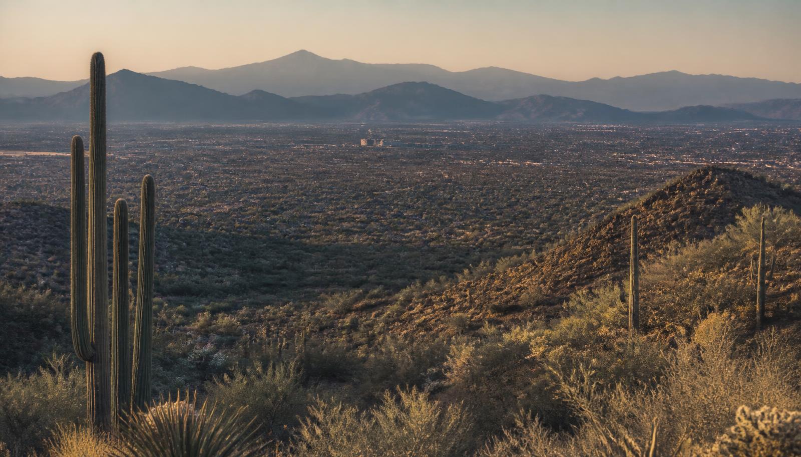 A wide view across Tucson and the surrounding Sonoran Desert